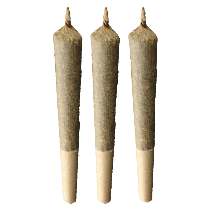 A studio shot of three 1-gram joints of Sativa 20% Plus PR, presented against a plain white background.