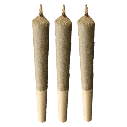 A studio shot of three 1-gram joints of Sativa 20% Plus PR, presented against a plain white background.