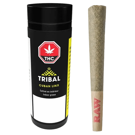 Front view of the Cuban Linx Pre Rolled 5 x 0.6 g pre-rolled joint with a light brown paper wrapper.