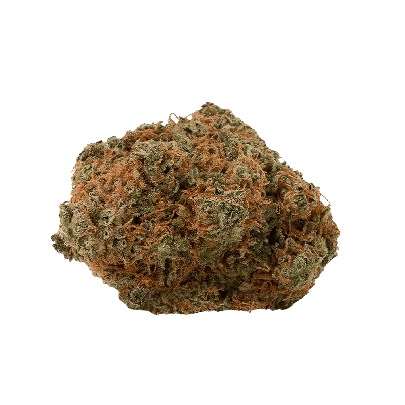 Front view of the Fast Lane product, showing a close-up of a textured, dark-colored substance.