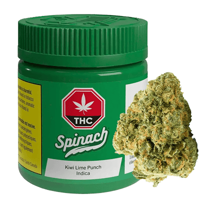 Spinach 3.5 g Kiwi Lime Punch Whole Flower