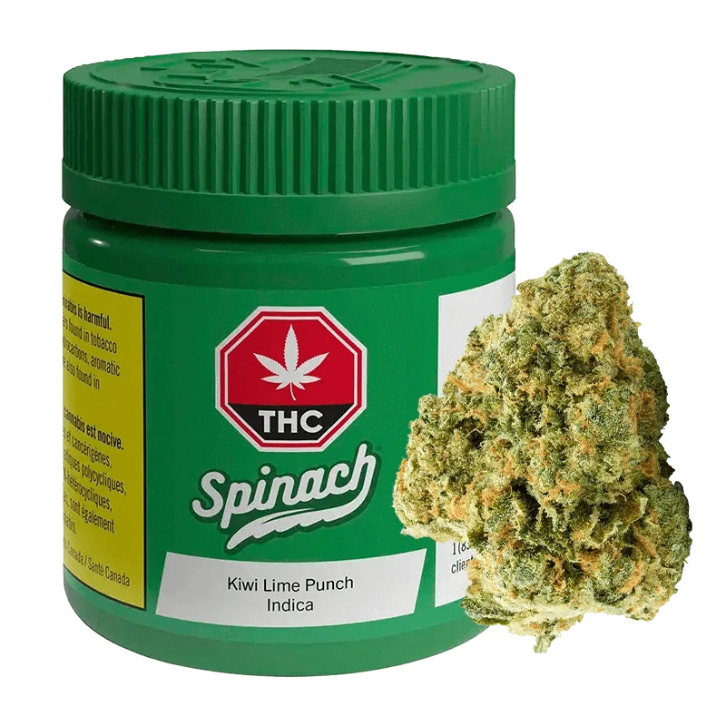 Spinach Kiwi Lime Punch Indica Cannabis Strain - 3.5g: Lowest Spinach Kiwi Lime Punch Indica Cannabis Strain - 3.5g: Lowest