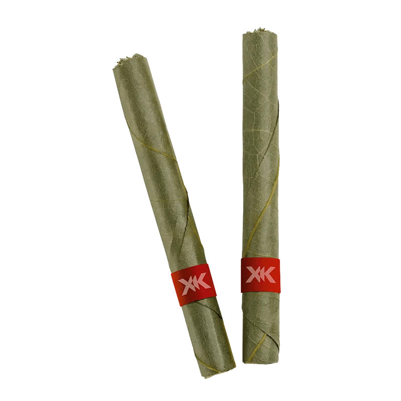 XK 2 g Joints