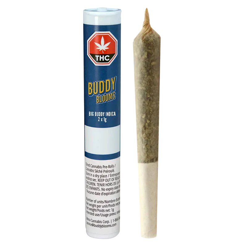 Vertical studio shot of a filled pre-roll beside its blue tube packaging labeled Big Buddy PR 2 x 1 g, photographed on a white background.
