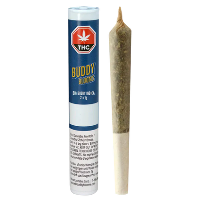 Vertical studio shot of a filled pre-roll beside its blue tube packaging labeled Big Buddy PR 2 x 1 g, photographed on a white background.