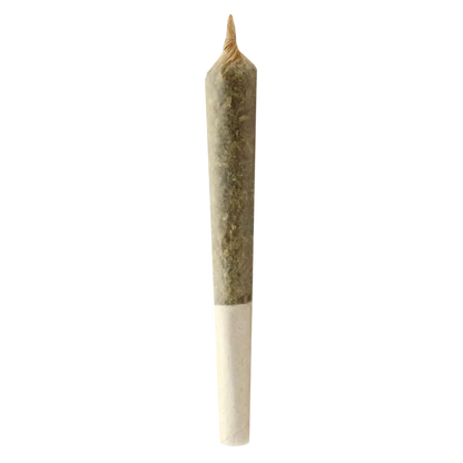 Center-aligned close-up of a single rolled joint against a white background, labeled Big Buddy PR 2 x 1 g.