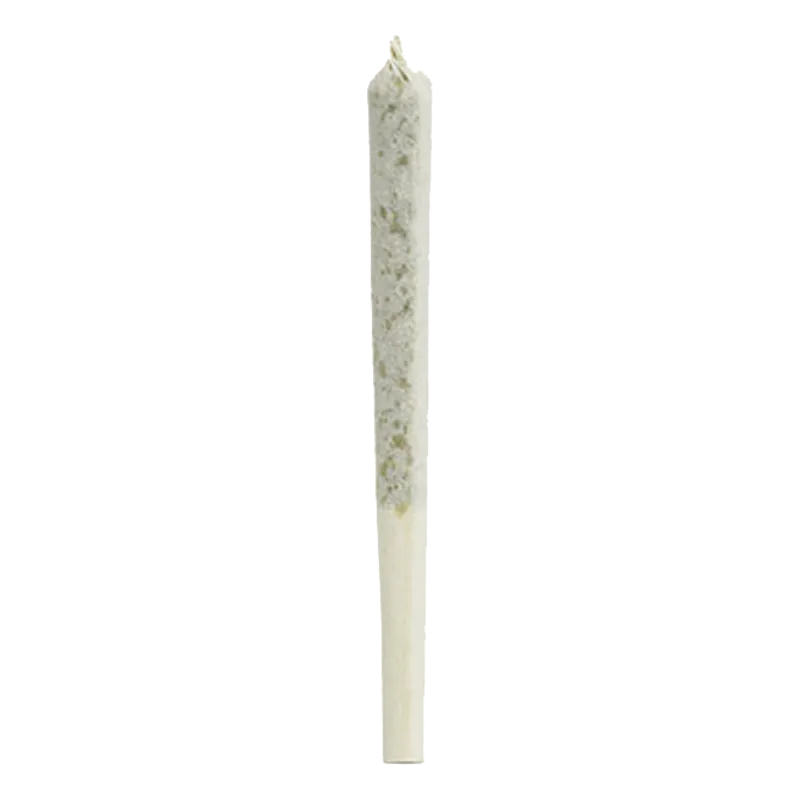 Vertical close-up of a single rolled Bangtail PR 60 x 0.5 g pre-roll standing against a white background.