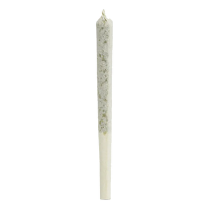Vertical close-up of a single rolled Bangtail PR 60 x 0.5 g pre-roll standing against a white background.