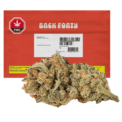 Front view of the Panda Puff, showcasing a white and green packaged product with a cannabis leaf design.