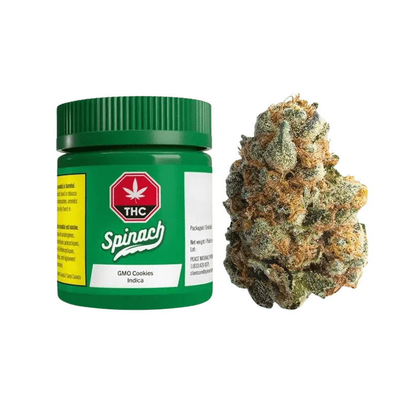 A close-up, high-angle view of GMO Cookies, showing dense, textured cannabis buds against a neutral background.