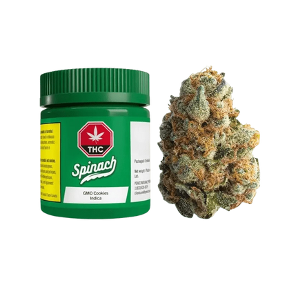 A close-up, high-angle view of GMO Cookies, showing dense, textured cannabis buds against a neutral background.