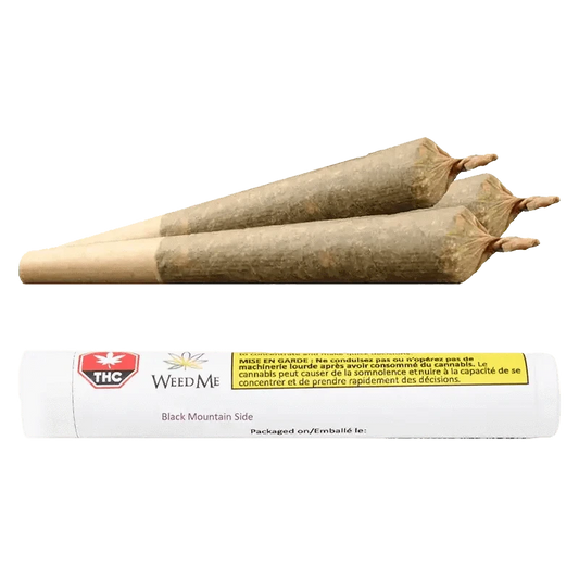 Close-up of the Black Mountain Side Pre Rolled 3 x 0.5 g pre-rolls packaged in a clear plastic container with a green and white label.