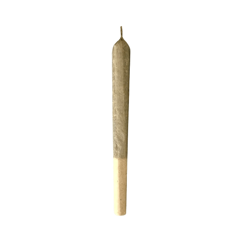 MTL Cannabis 1.5 g Joints