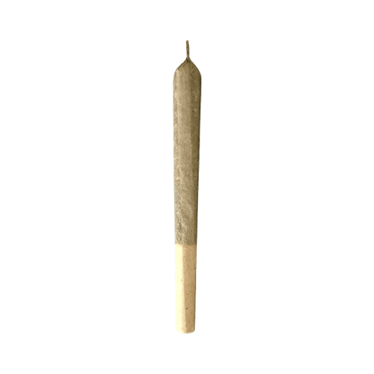 MTL Cannabis 1.5 g Joints