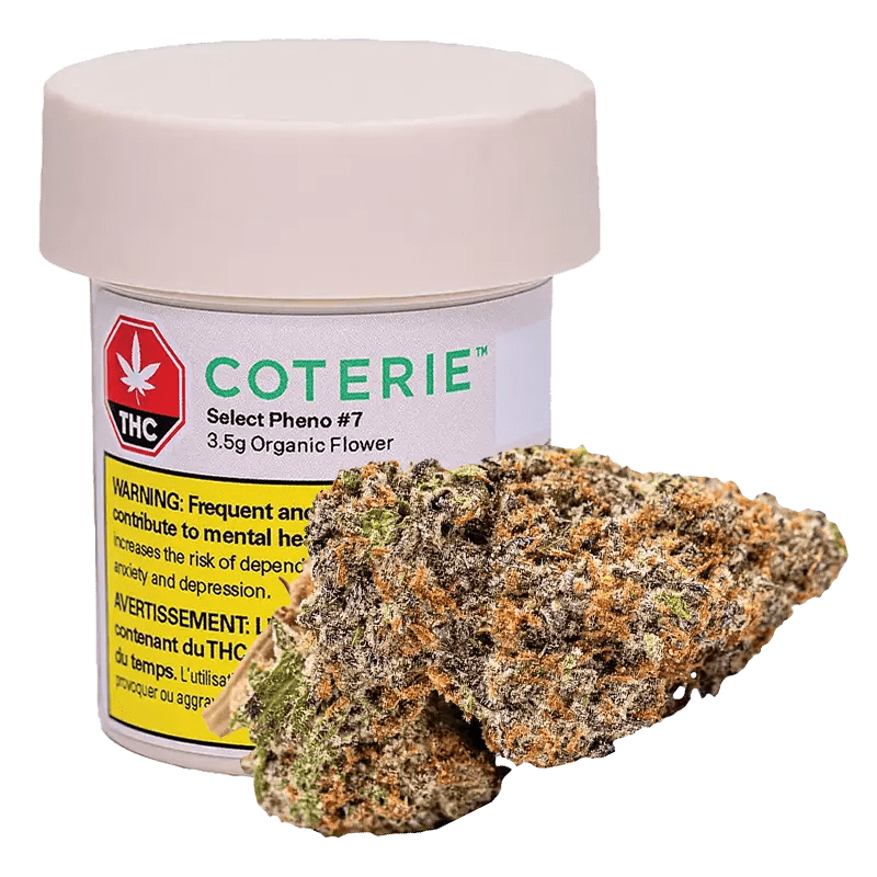 Coterie 3.5 g Whole Flower