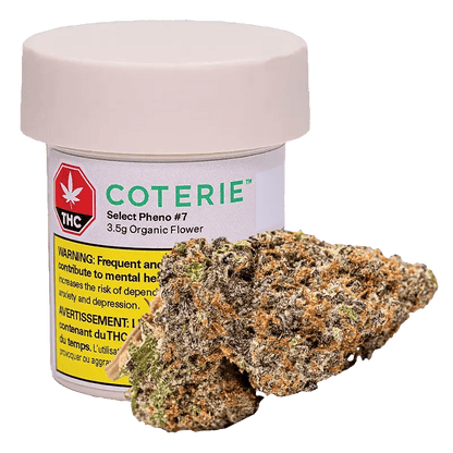 Coterie 3.5 g Whole Flower