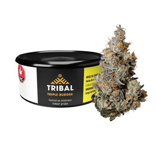 Front view of the Triple Burger product packaging against a black background, featuring bold text and a colorful emblem.