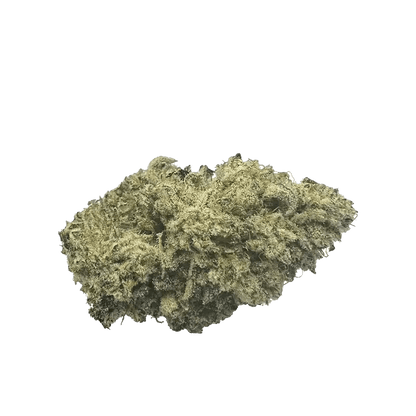 Popcorn Cannabis 3.5 g Whole Flower