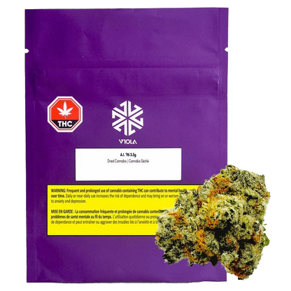 Viola AI '96 Indica Cannabis Strain | Canna Cabana: Lowest Price Viola AI '96 Indica Cannabis Strain | Canna Cabana: Lowest Price