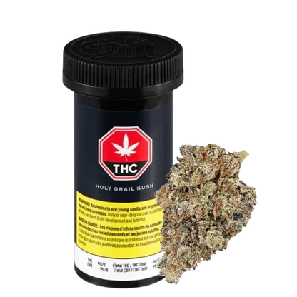 Close-up of the Holy Grail cannabis bud, showcasing its dense, textured surface against a dark background.