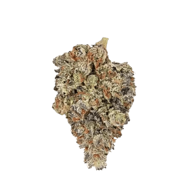 Broken Coast Whole Flower