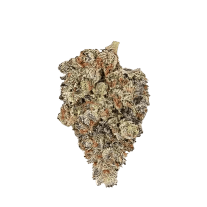 Broken Coast Whole Flower