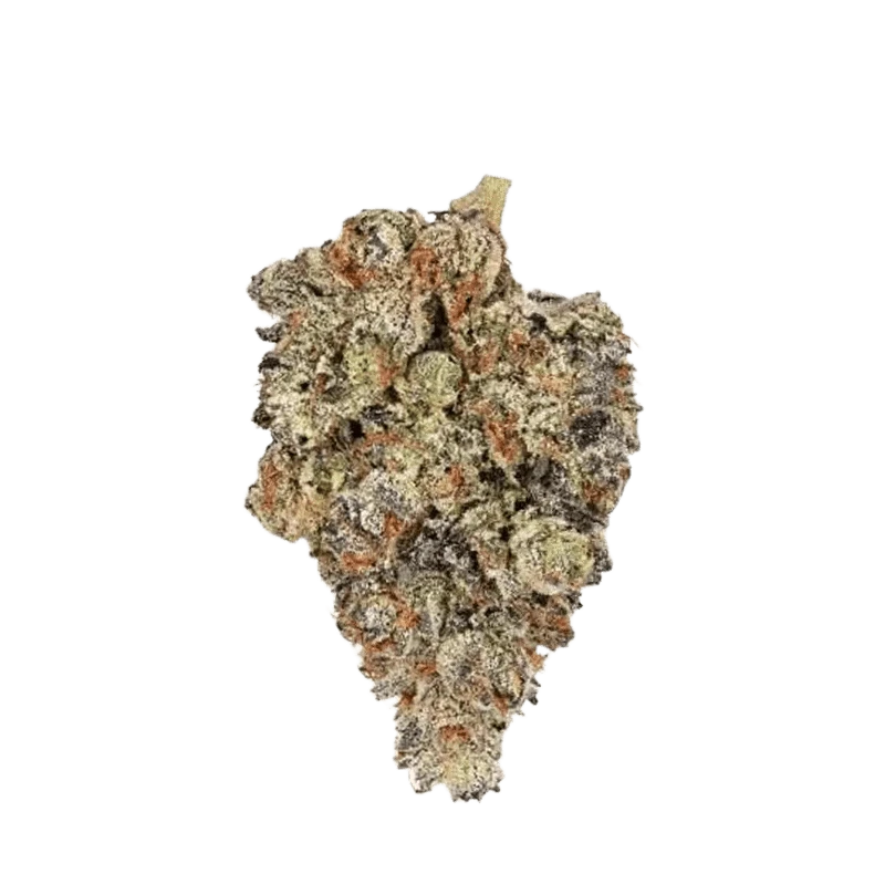 Close-up of the Holy Grail, showcasing its detailed texture and intricate design against a plain white background.