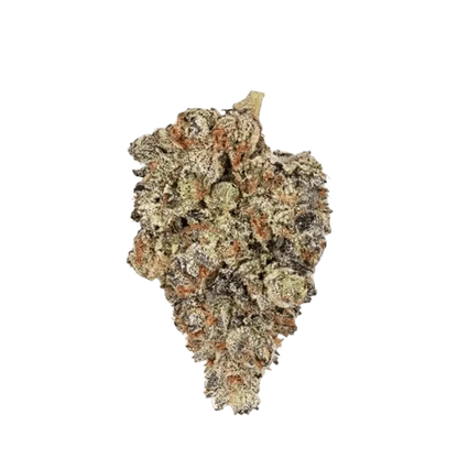 Close-up of the Holy Grail, showcasing its detailed texture and intricate design against a plain white background.