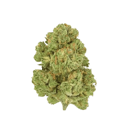 San Rafael '71 3.5 g Whole Flower