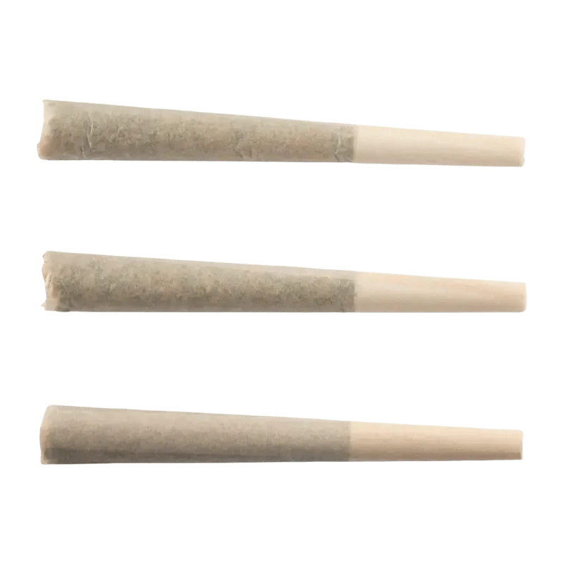 A close-up view of the Crab Cakes Pre Rolled 3 x 0.5 g pre-rolls, showing the paper-wrapped cannabis buds.