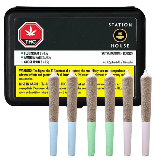 Front-facing image of six pre-rolls in pastel tips arranged in a row before a black tin labeled "Daytime Express PR 6 x 0.5 g".