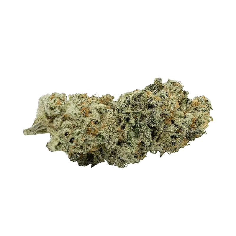 Close-up of the CAP Junky Jealousy, showing a textured, off-white surface with subtle variations in light and shadow.