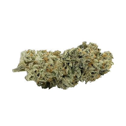 Close-up of the CAP Junky Jealousy, showing a textured, off-white surface with subtle variations in light and shadow.