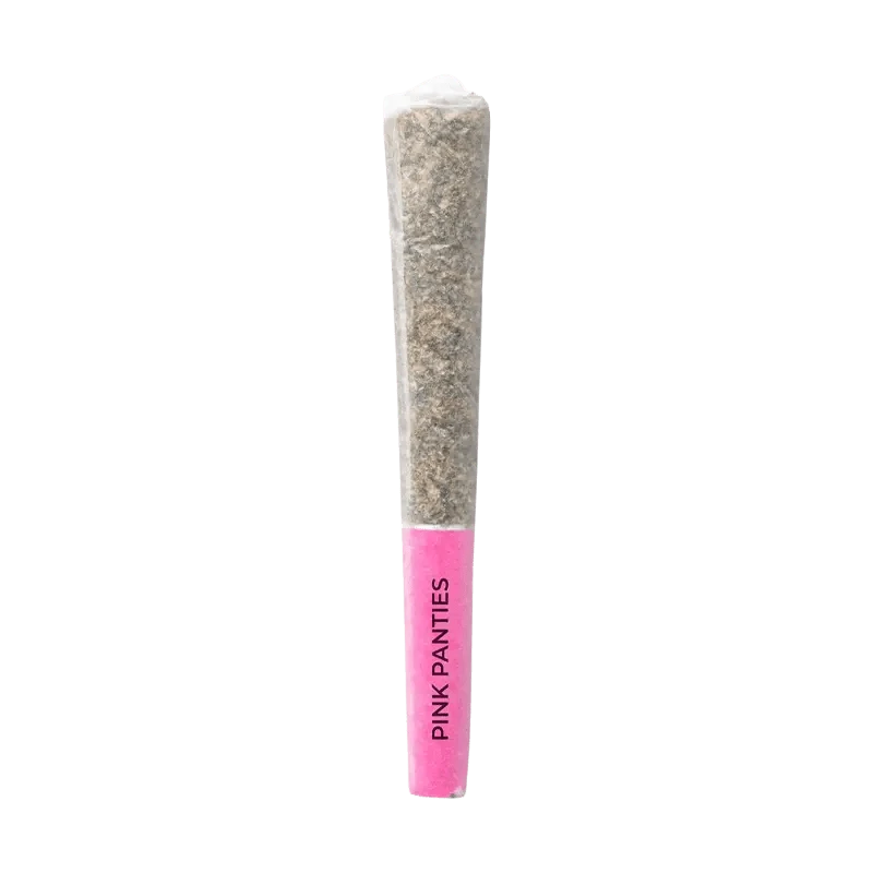 pink panties disposable vape Pink Panties Disposable Vape Flying Horse - 2-In-1 - PINK PANTIES + SMARTEN CO Disposable pink panties disposable vape Pink Panties Disposable Vape Flying Horse - 2-In-1 - PINK PANTIES + SMARTEN CO Disposable
