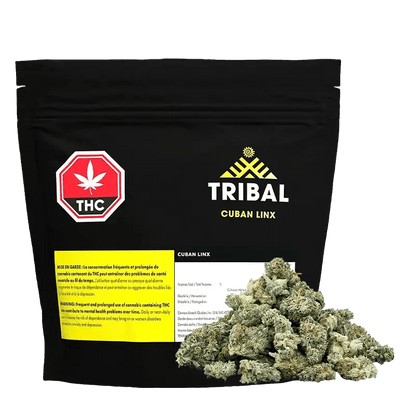 Tribal 28 g Whole Flower