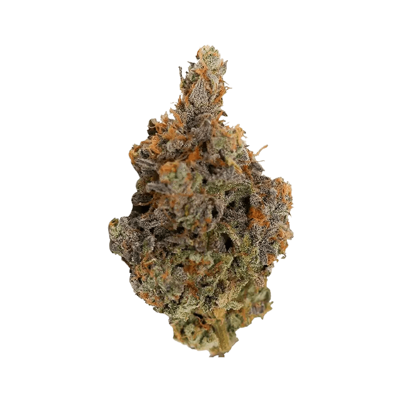 Northside Grow Whole Flower