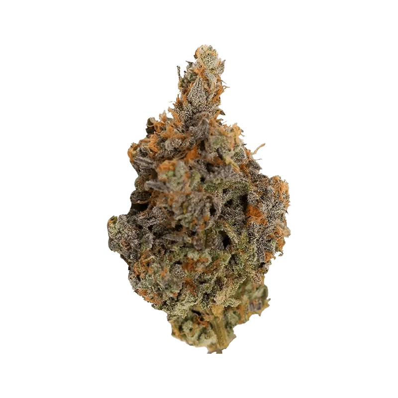 Close-up studio shot of the Alien Rock Cndy, showcasing its textured, rocky surface against a plain white background.