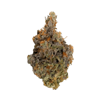 Close-up studio shot of the Alien Rock Cndy, showcasing its textured, rocky surface against a plain white background.