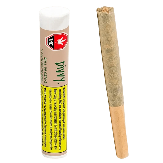 A close-up shot of the Roll Up Sativa Pre Rolled 1 x 0.5 g package with a warning label on a white background.