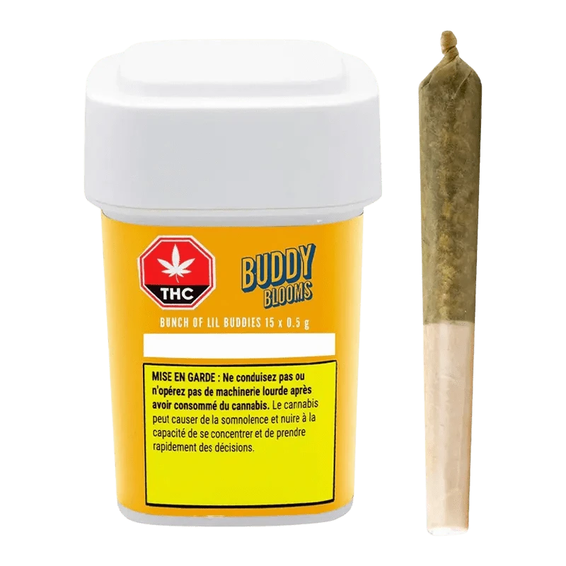 Buddy Blooms High THC Pre Roll Packs | Canna Cabana: Lowest Price
