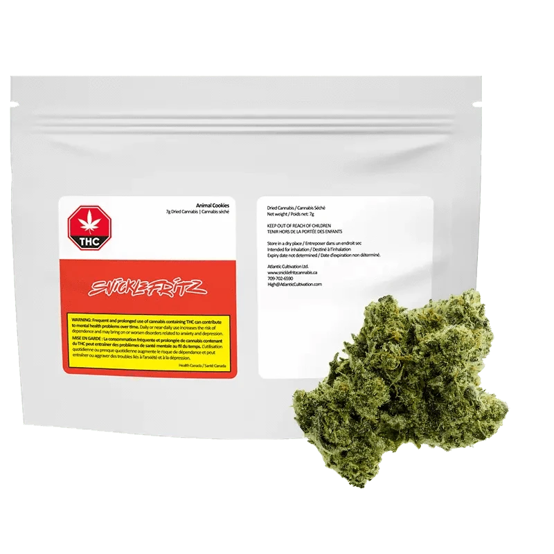 Front view of a white pouch and a green cannabis bud labeled Rotating Indica, the 7 g package shown against a plain white background.