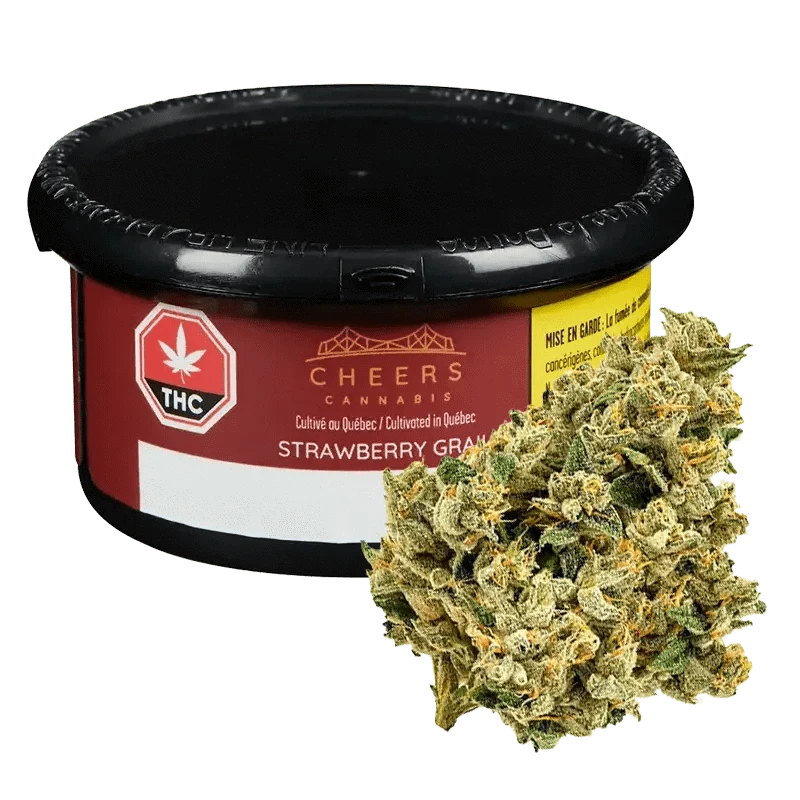 Cheers Cannabis Strawberry Grail Indica - Buy Online 3.5G: Lowest