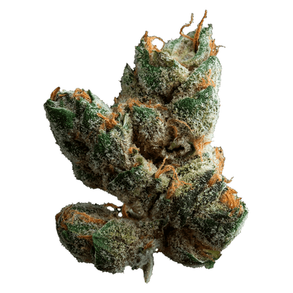 Muskoka Grown 28 g Sugar Cookies Whole Flower