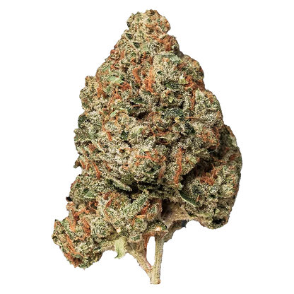 Close-up of the dense "Island Pink" cannabis bud, photographed from the front against a plain white background showing orange pistils and frosty trichomes.