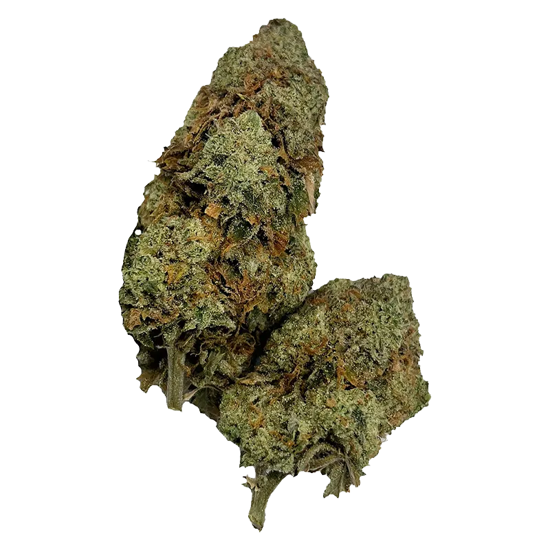 Joi Botanicals 3.5 g Joi Botanicals Super Lemon Haze: Lowest Price | Canna Cabana Whole Flower