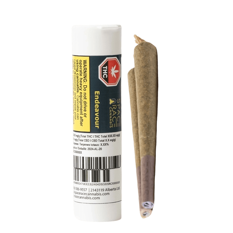 Space Race 2 g Joints