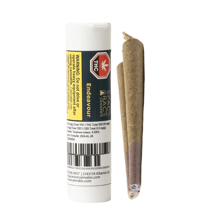 Space Race 2 g Joints