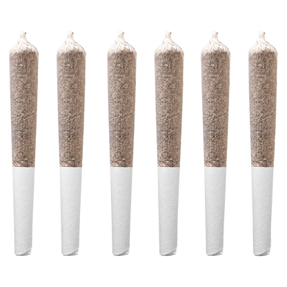 Six pre-rolled joints photographed upright in a row on a white background, labeled Trainwreck PR 6 x 0.5 g.