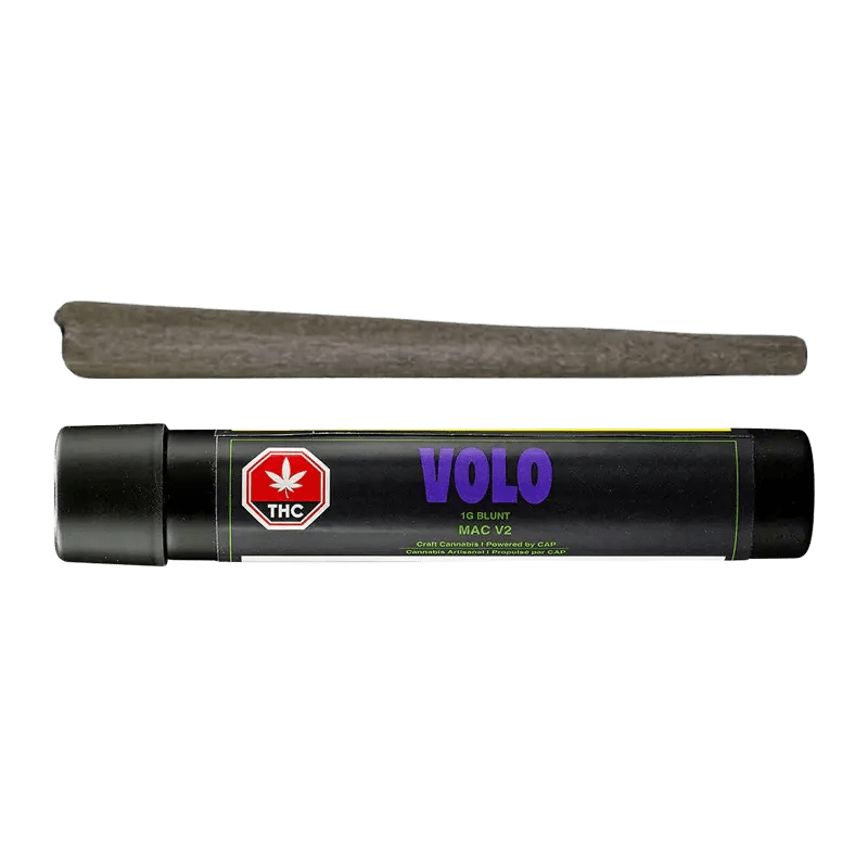 Volo 1 g Blunts