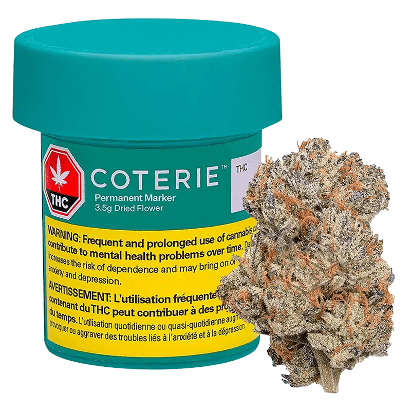 Coterie 3.5 g Whole Flower